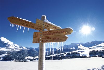 Als größte Hochalm Europas besitzt die Seiser Alm im Sommer wie im Winter ein weitläufiges Netz an Wanderwegen, © Südtirol Marketing
